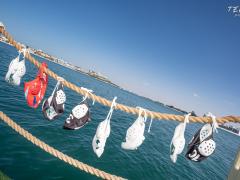 Dubai International Water Polo Tornament October 2017