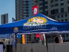 Dubai Camels Beach Water Polo Tornament December 2020