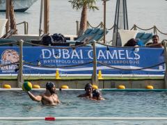 Dubai Camels Beach Water Polo Tornament December 2020