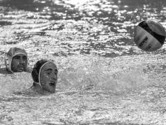 Dubai International Water Polo Tornament October 2017