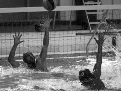 Dubai International Water Polo Tornament October 2017